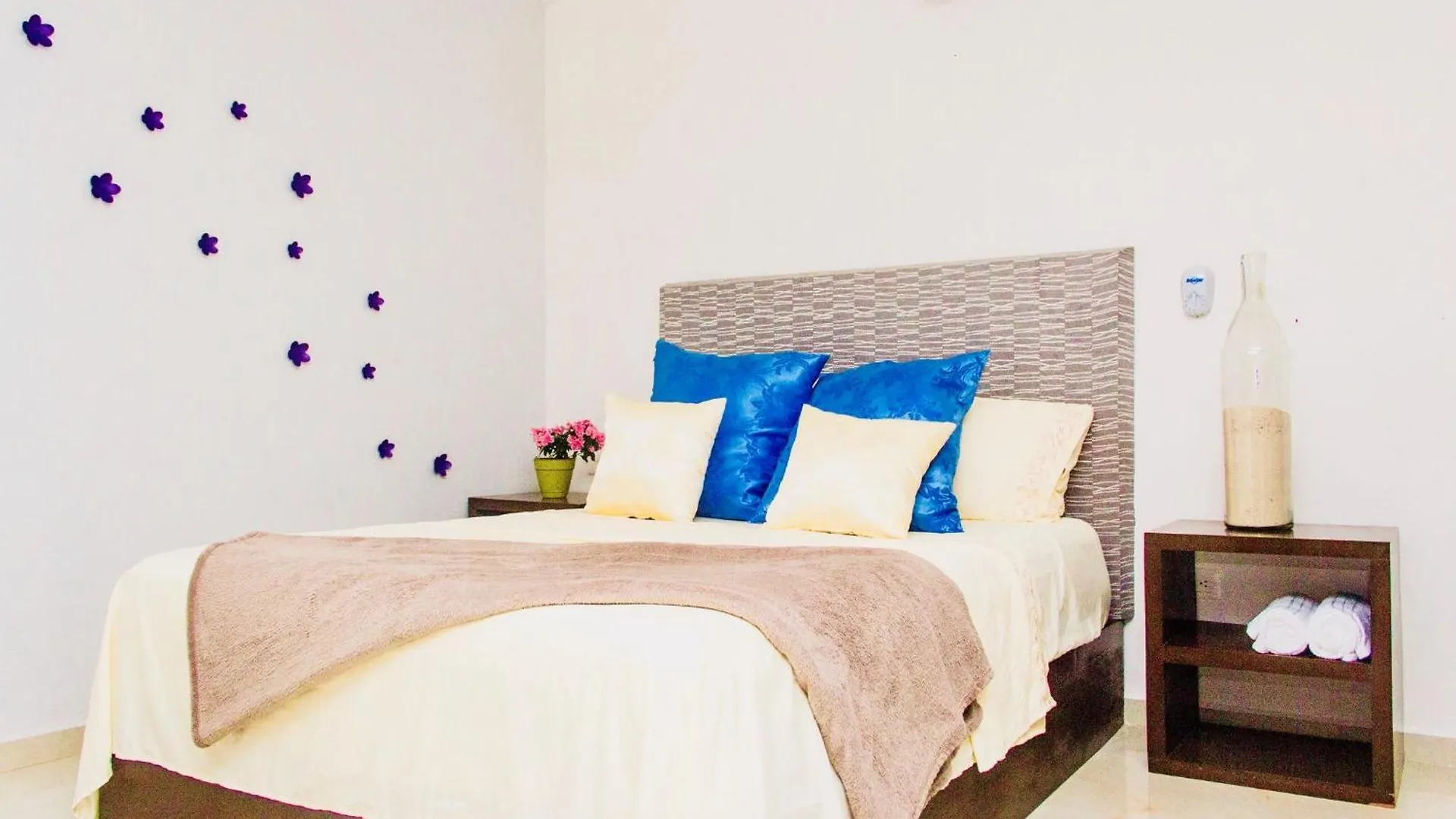 *** Pensionat Condohotel 5Th Avenue Superior 1 Studio Mexiko